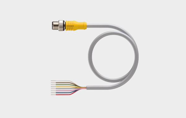 1762330403302511.png Turck (11).png