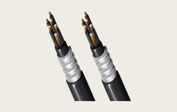 1769739251844852.png 3.png