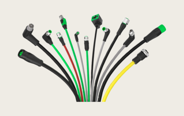 1769827713451512.png 14.png